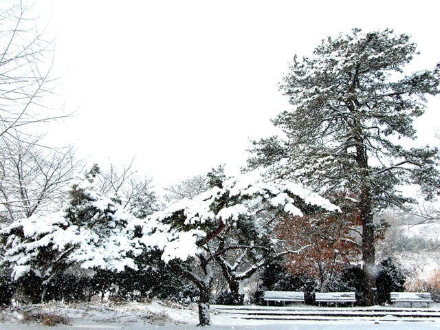 100113dica10.jpg