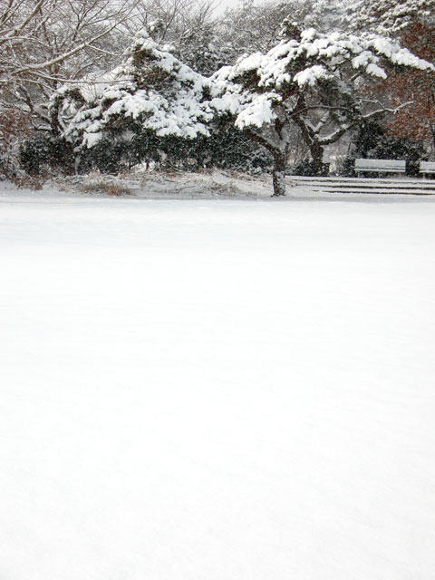 100113dica13.jpg