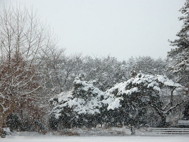 100113dica14.jpg