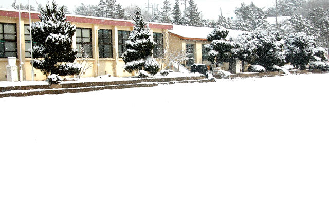 100113dica9.jpg