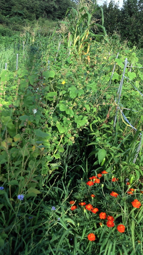 2011-07-28_07-22-44_843.jpg