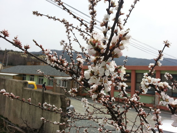 20130401_124824.jpg