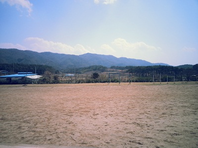 20130409_141435.jpg