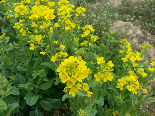 20130418_112809.jpg