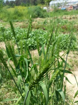 20130513_125449.jpg