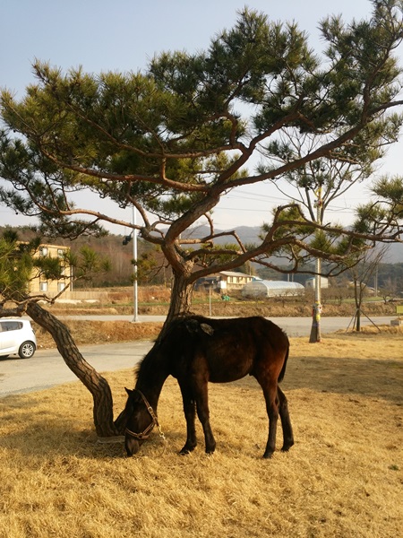 20140315_155630.jpg