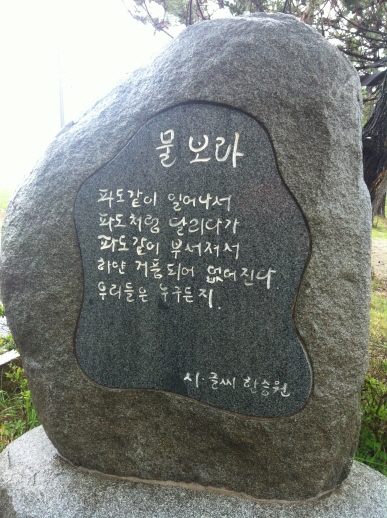 231.JPG