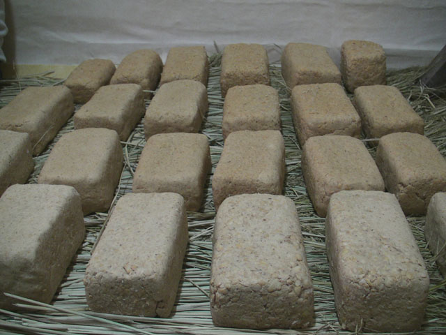 CAM_0280.JPG
