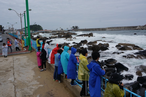 DSC01273.JPG