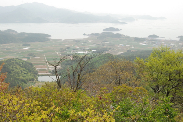 DSC_0812.jpg