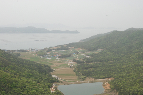 DSC_0816.jpg