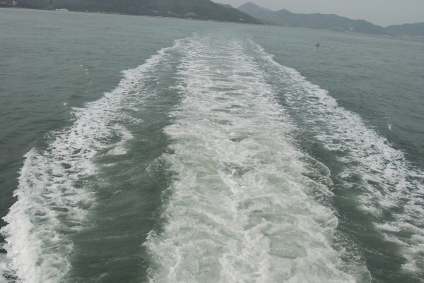 DSC_0848.jpg