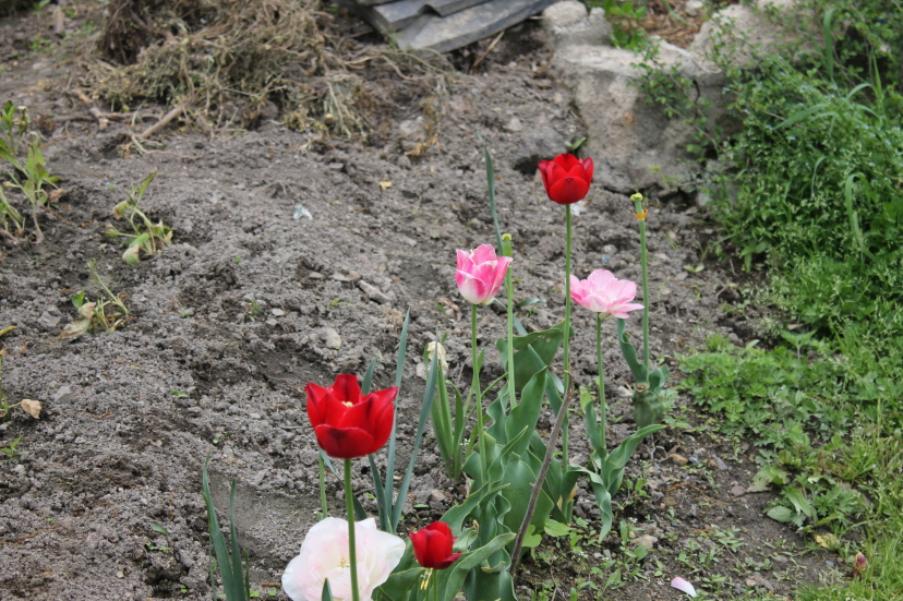 IMG_1820.JPG