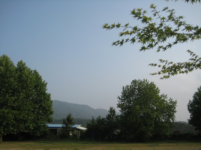 IMG_18982.jpg