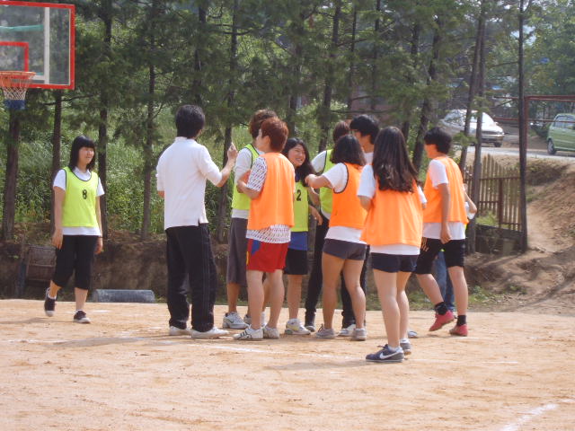 SUC54163.jpg