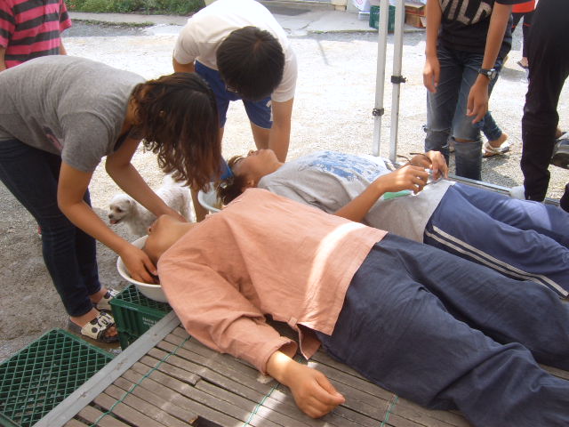SUC54310.jpg