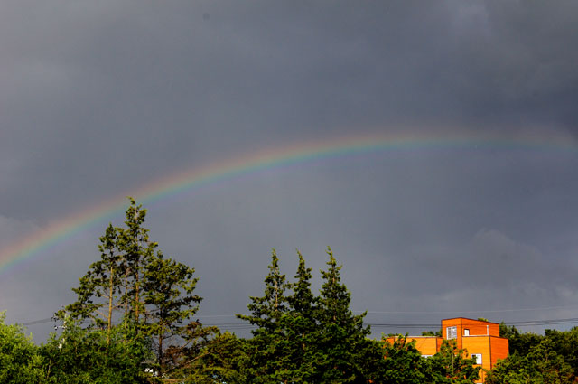 rainbow3.jpg