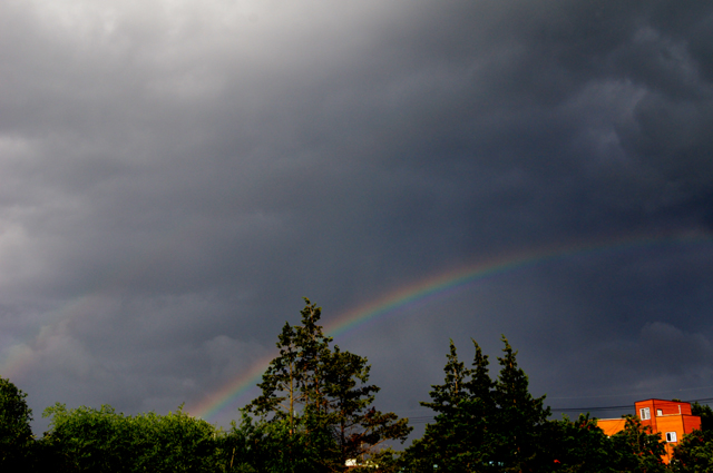 rainbow4.jpg