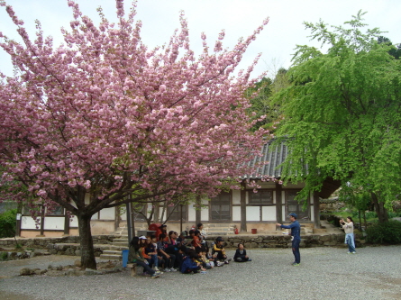 s_DSC08613.JPG