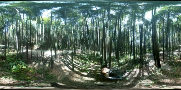 s_panorama_홍태권.jpg