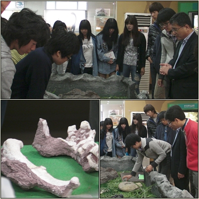 공룡연구소2.jpg