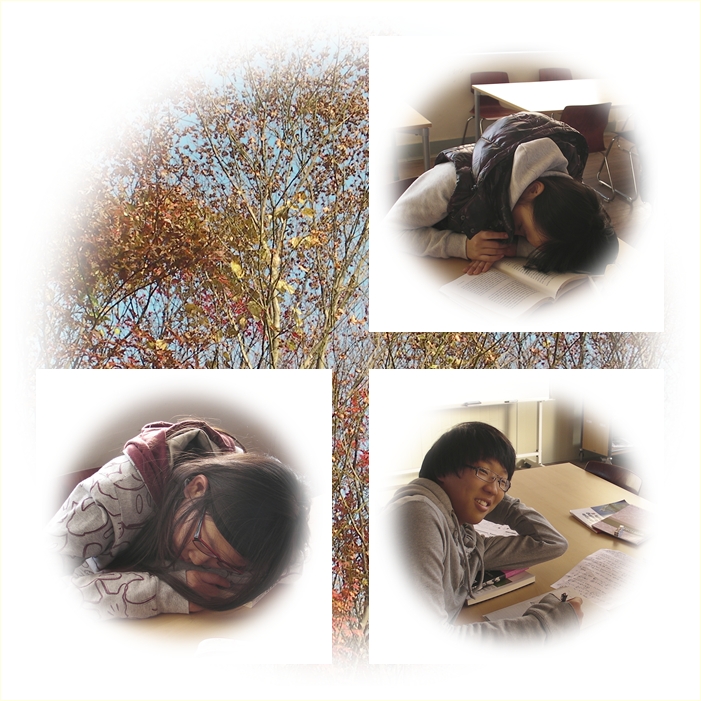 오수.jpg